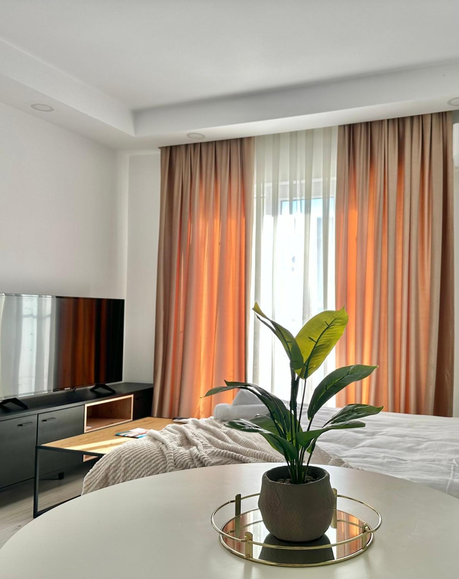 Single Room A503 Stayinn By Cosmopolis Stefanestii de Jos Exterior foto